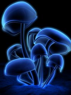 мухоморы (Mushrooms)