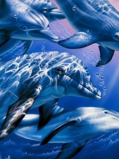 дельфины (Dolphins)
