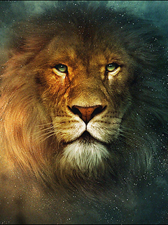 лев (Lion)