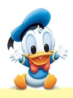 Disney Little Donald