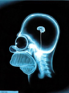 мозг Хомера Симпсона (Homer Mind)