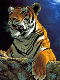 тигр (Tiger1)