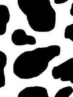 пятна коровы (Cow)