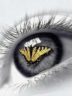 бабочка на глазу (Butterfly Eye)