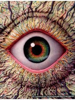 глаз (Eye)