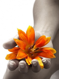 цветок в женской руке (Girl Flower)