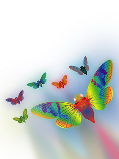 бабочки (Butterflies)