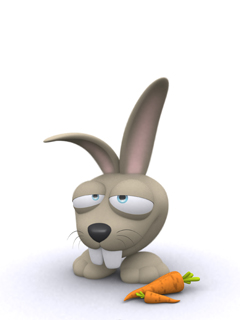 кролик и морковь (Rabit)