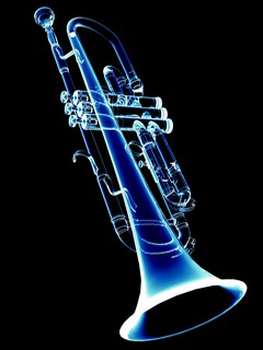 труба (Trumpet)