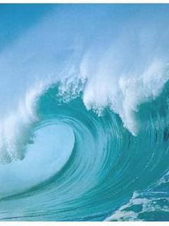 цунами волна (Word Of Nature)