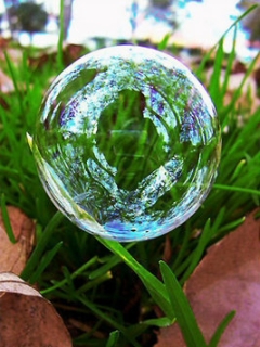 мыльный пузырь в траве (Word Of Nature)